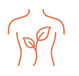 Captura de pantalla 2026 02 24 154820 Captura de pantalla 2026 02 24 154820