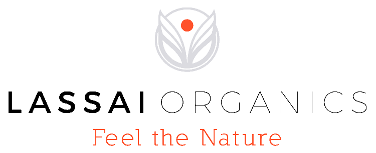 lassai logo claim gris 2 lassai logo claim gris 2